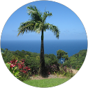 Jen Baird profile picture